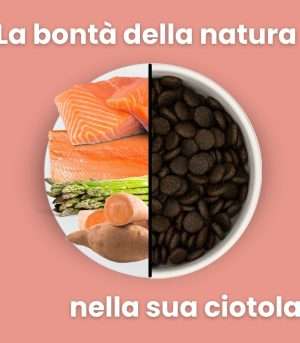 Salmone con trota, patate dolci e asparagi