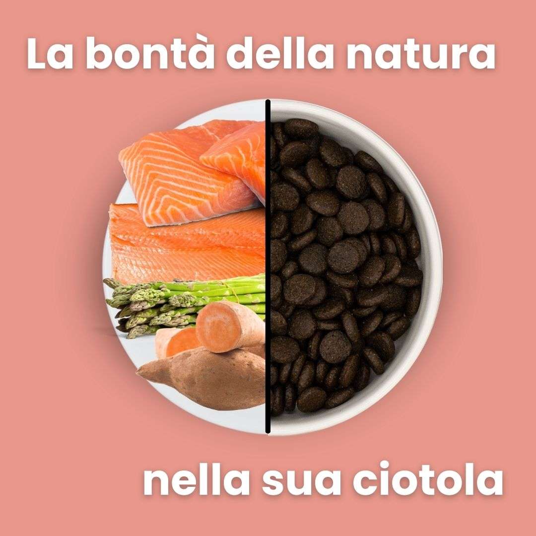 Salmone con trota, patate dolci e asparagi