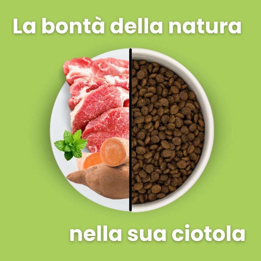 Agnello con patate dolci e menta