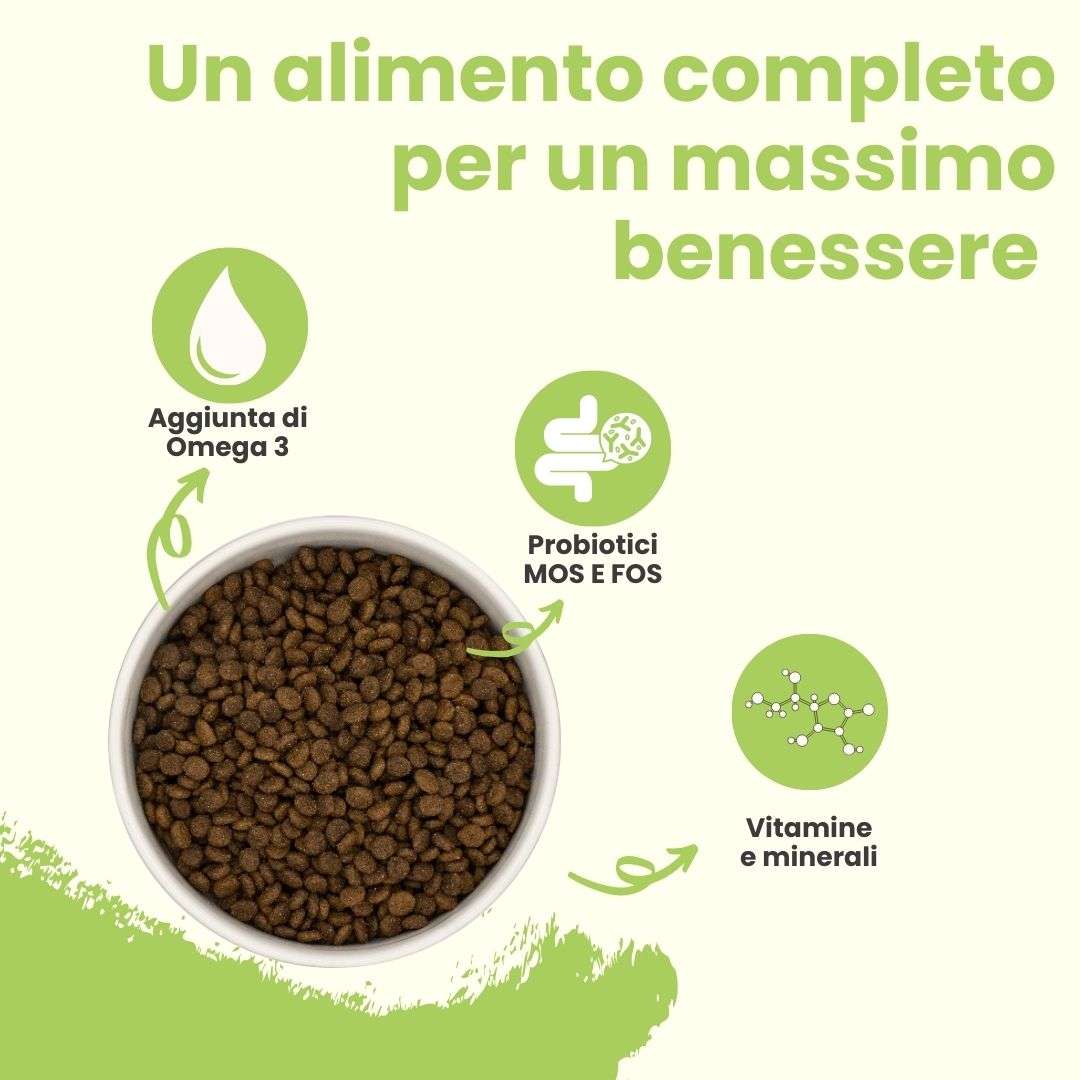 Agnello con patate dolci e menta