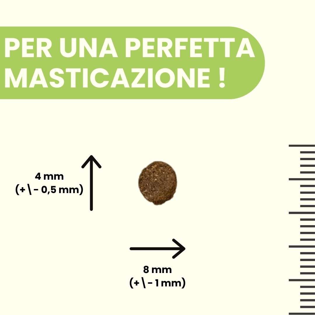 Agnello con patate dolci e menta