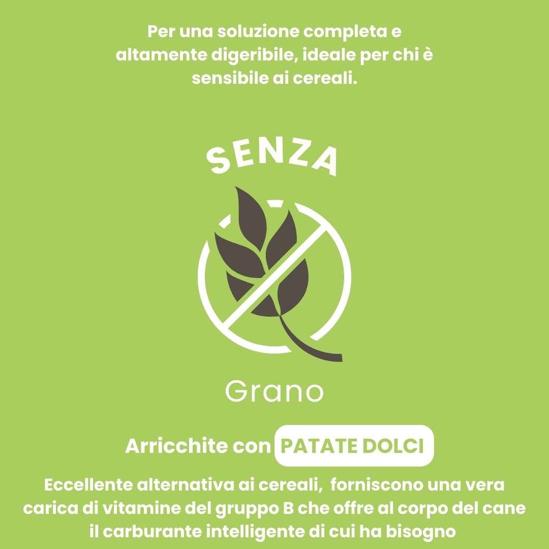 Agnello con patate dolci e menta