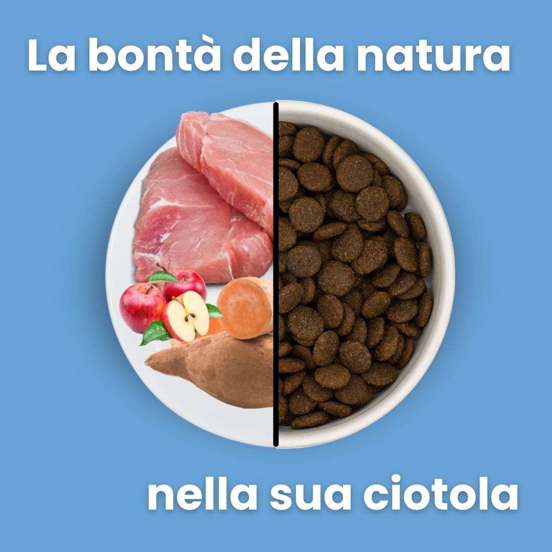 Maiale con patate dolci e mele