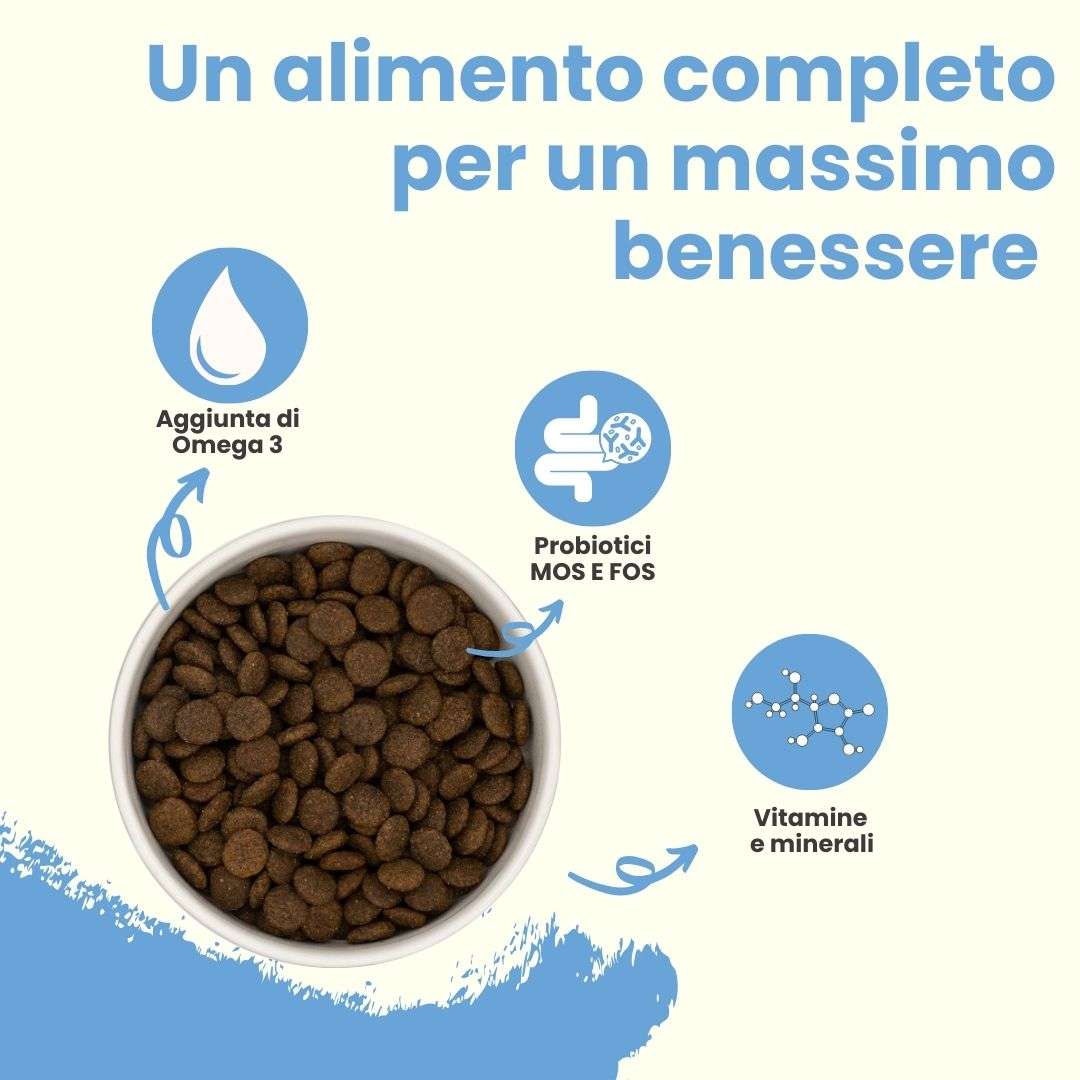Maiale con patate dolci e mele