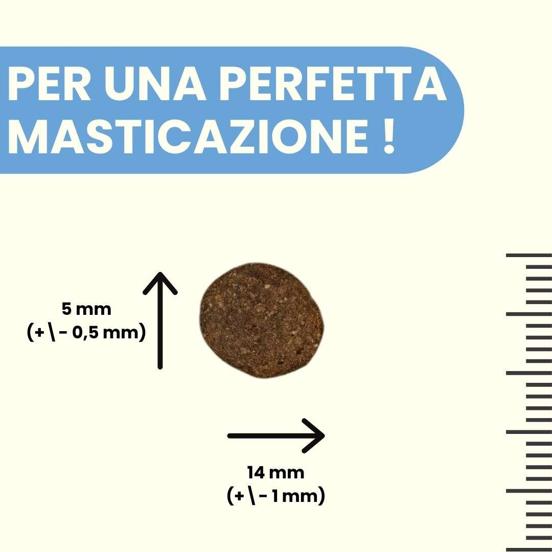 Maiale con patate dolci e mele