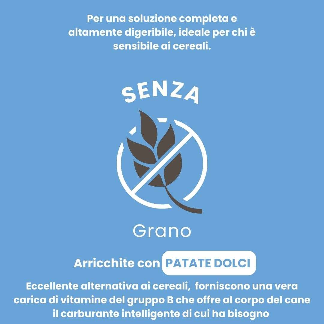 Maiale con patate dolci e mele