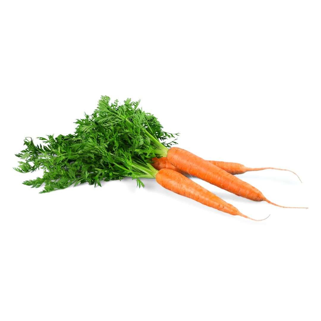 Carota