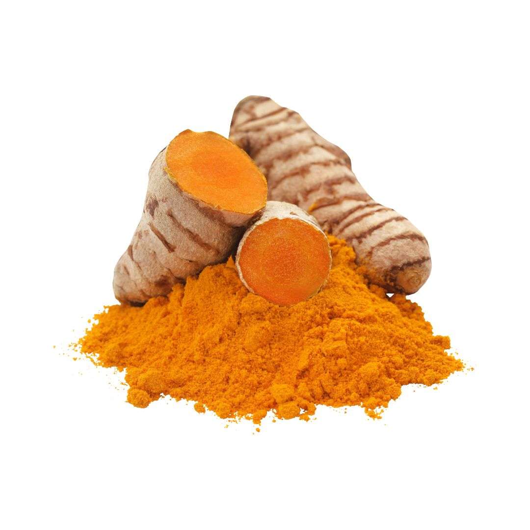 Curcuma