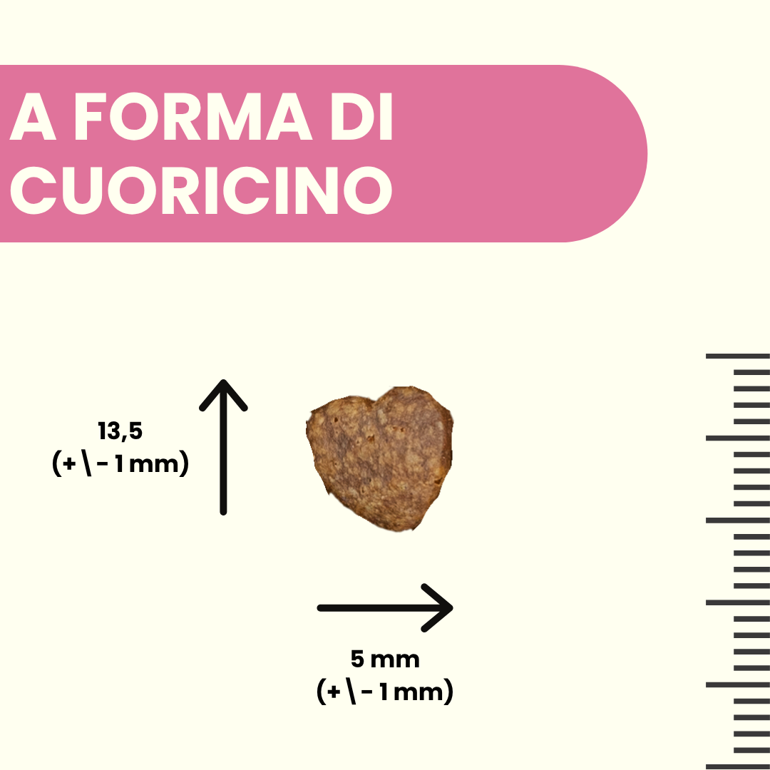 Fefyfresh - Linea vet - Cura della cute e del manto