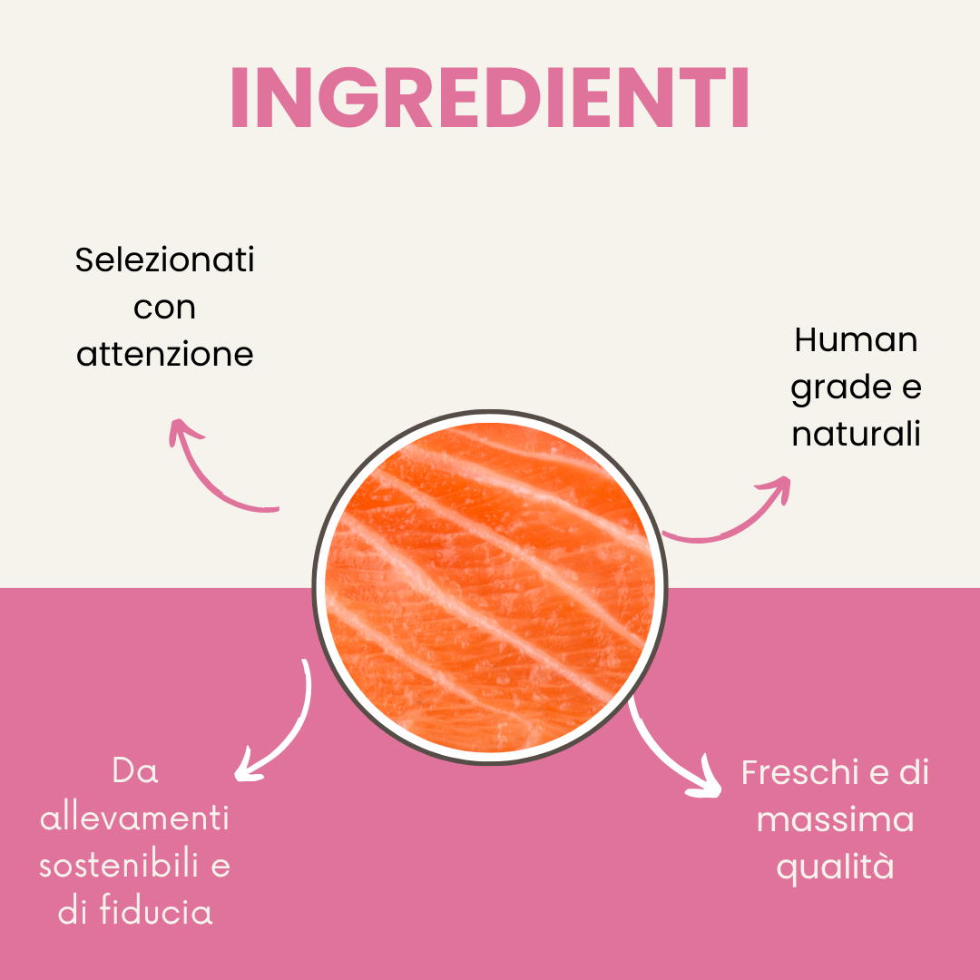 Fefyfresh - Linea vet - Cura della cute e del manto