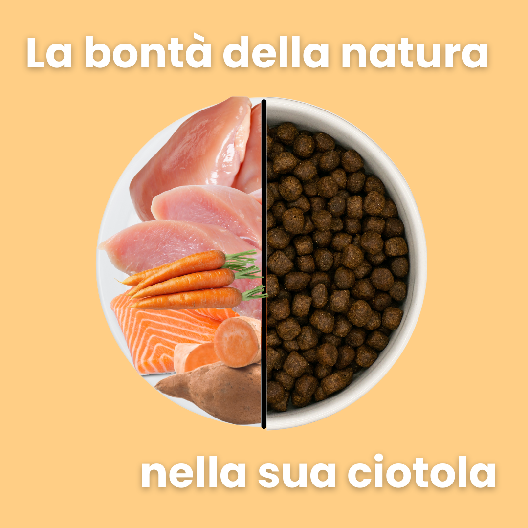 Crocchette per cuccioli al pollo con tacchino, salmone, patate dolci e carote