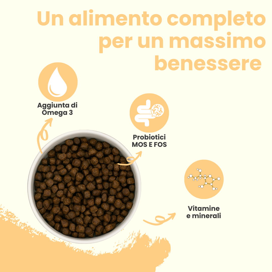 Crocchette per cuccioli al pollo con tacchino, salmone, patate dolci e carote