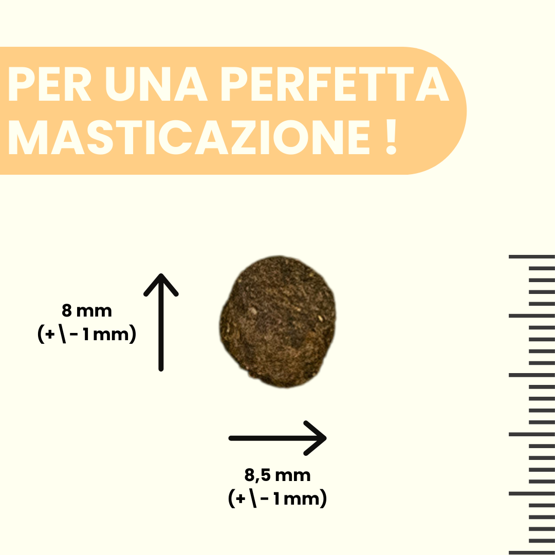 Crocchette per cuccioli al pollo con tacchino, salmone, patate dolci e carote