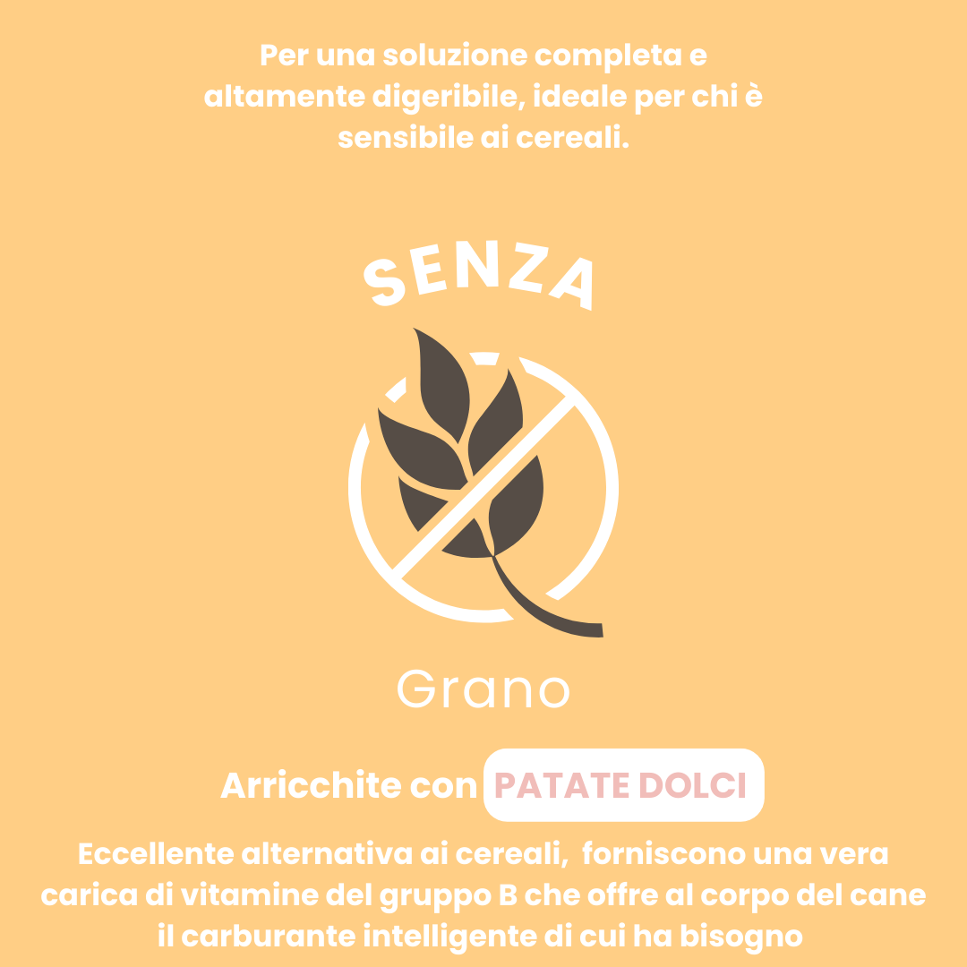 Crocchette per cuccioli al pollo con tacchino, salmone, patate dolci e carote