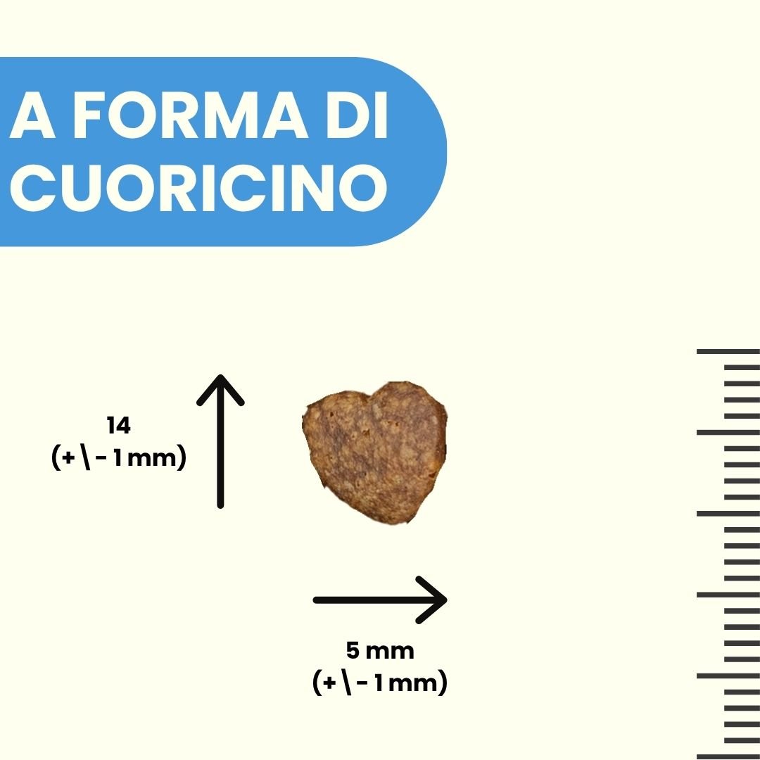 Fefyfresh linea vet - Controllo del peso e cura delle articolazioni - immagine 4