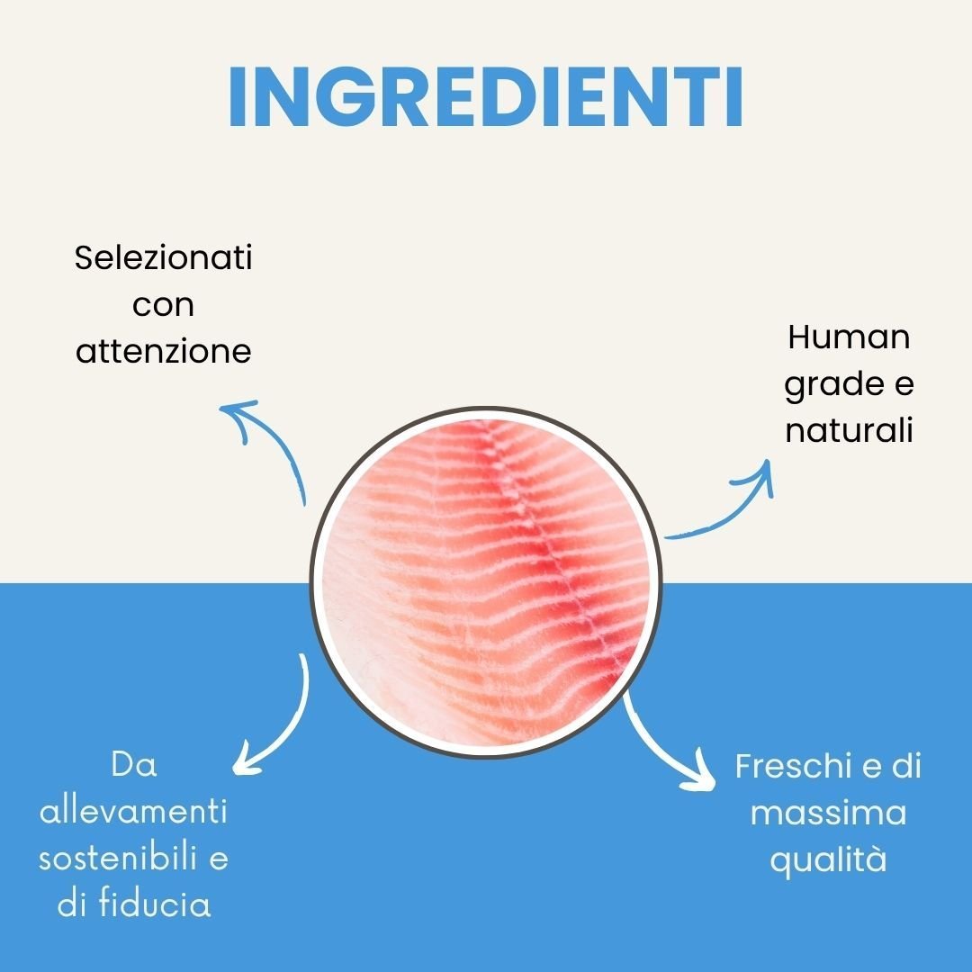 Fefyfresh linea vet - Controllo del peso e cura delle articolazioni - immagine 5