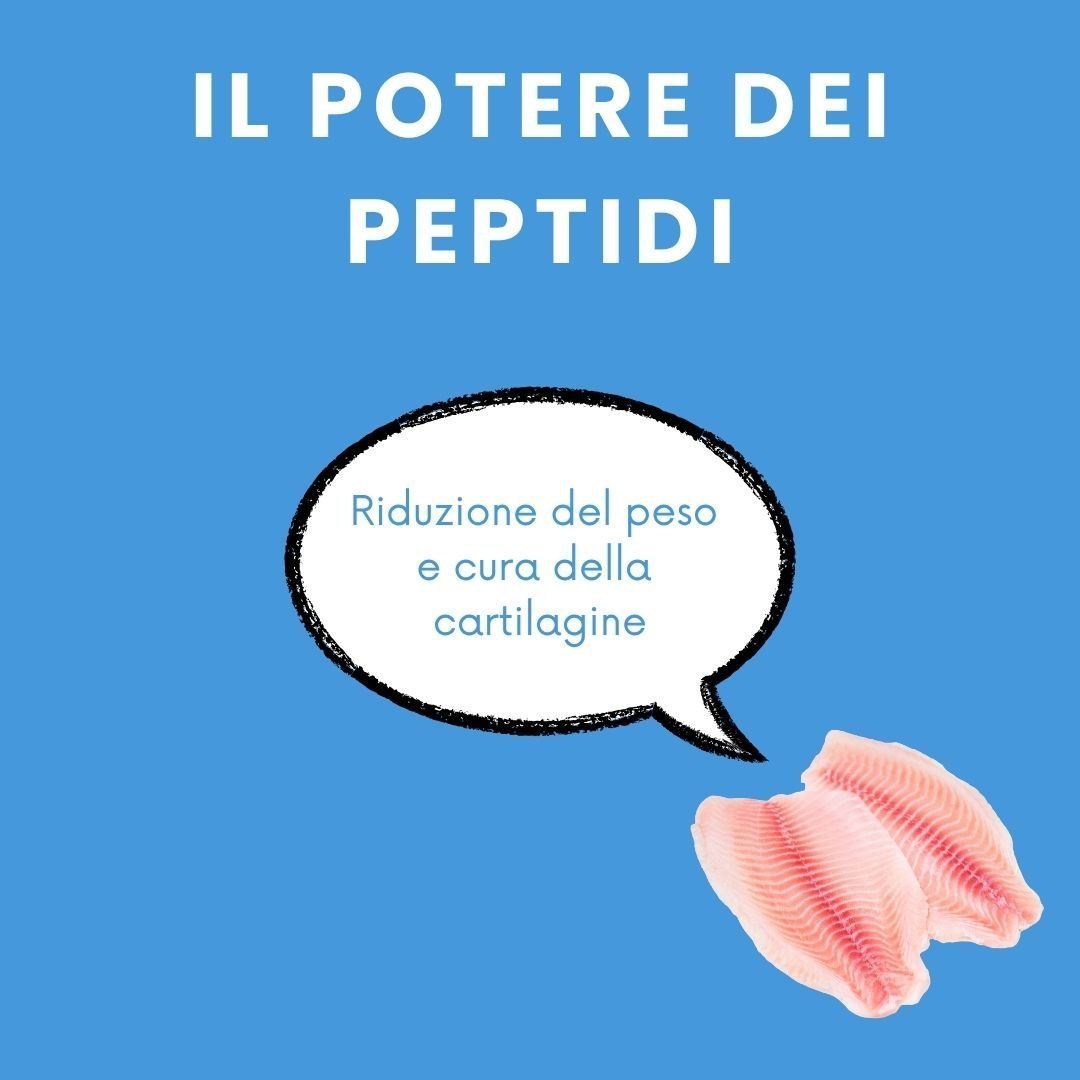 Fefyfresh linea vet - Controllo del peso e cura delle articolazioni - immagine 6